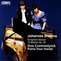 Hungarian Dances, WoO 1: I. Allegro Molto