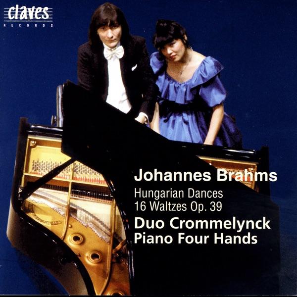 Hungarian Dances, WoO 1: II. Allegro non assai