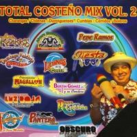 Esta Cobardia / Abrázame y Perdoname / Abrazado de un Poste / La Han Visto Llorando / El Amor de Mi Vida (Duranguense Mix)