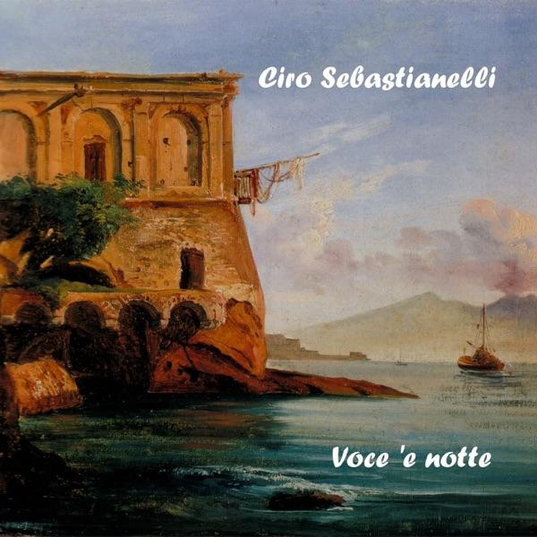 Voce 'e notte