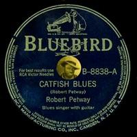 Don't Go Down Blues