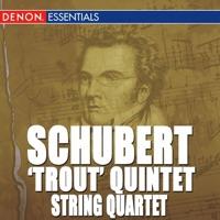 String Quartet No. 13, D. 804: II. Andante