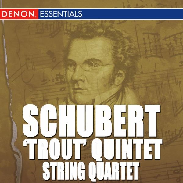 String Quartet No. 13, D. 804: II. Andante