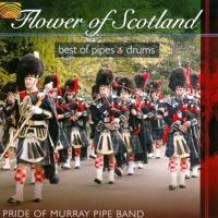 No' Awa' Tae Bide Awa' / Muss i denn / The Black Bear