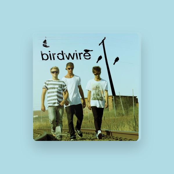 birdWire