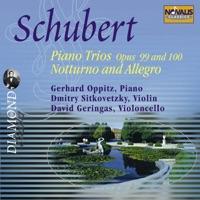 Piano Trio In E-Flat Major - Op. 100 - D. 929: 2. Mvmt. Andante Con Moto