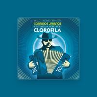 Clorofila