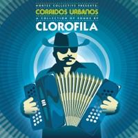 Llantera (Marcelo Fabian Recmix)