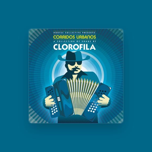 Clorofila
