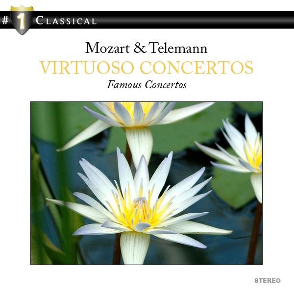 Concerto in G Major for Viola and Orchestra, TWV 51:G9: I. Largo
