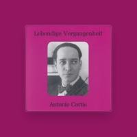 Antonio Cortis