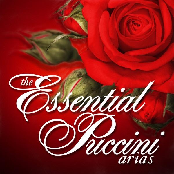 Madama Butterfly, Act 2: "Scuoti quella fronda" (Flower Duet)