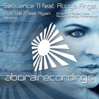 Until We Meet Again (Afternova Dub Mix)
