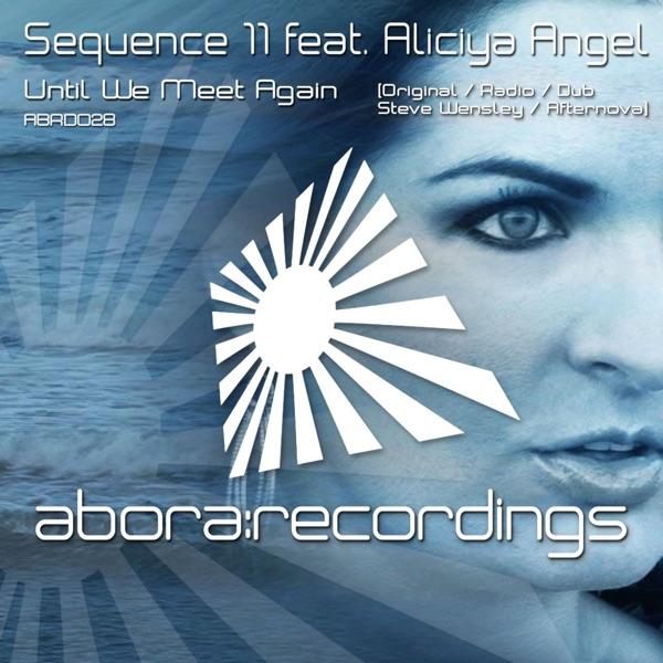 Until We Meet Again (Original Mix)