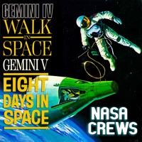 Gemini V Logistics