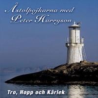 Morgonen skall gry