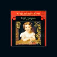 Benoit Fromanger
