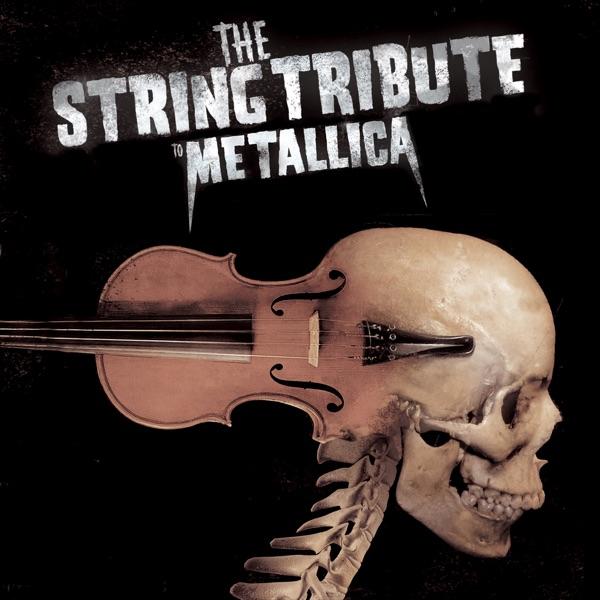 Nothing Else Matters (Cover Version)