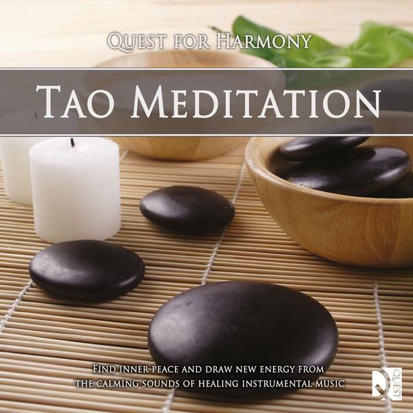 Theme and Variations (from Quartet in G major) ( Schubert )