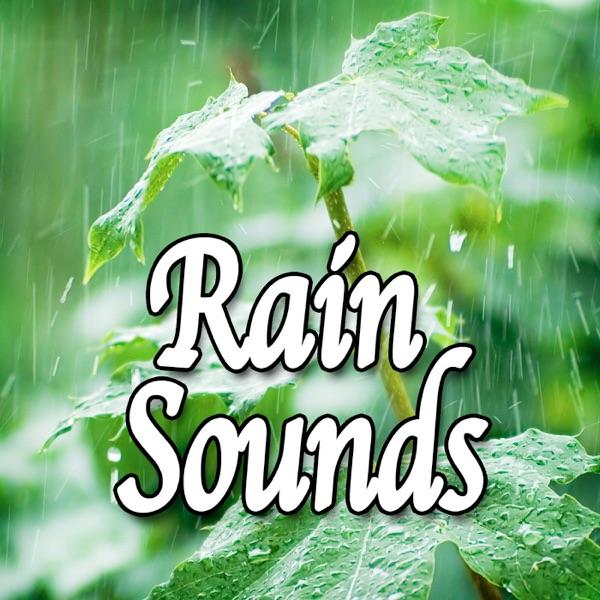 Soothing Rainshower for Deep Sleep (Nature Sound)
