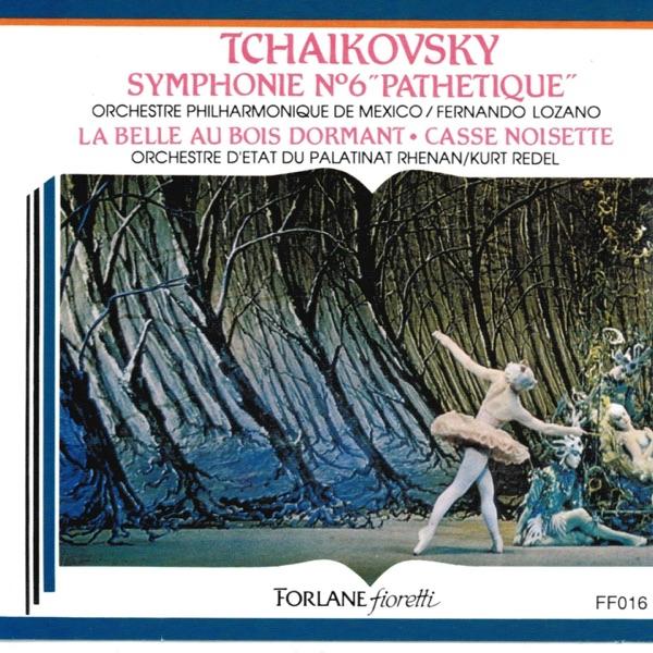 Symphonie No. 6 en Si mineur, Pathétique, Op.74 : II. Allegro con grazia