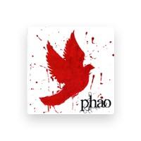 Phao