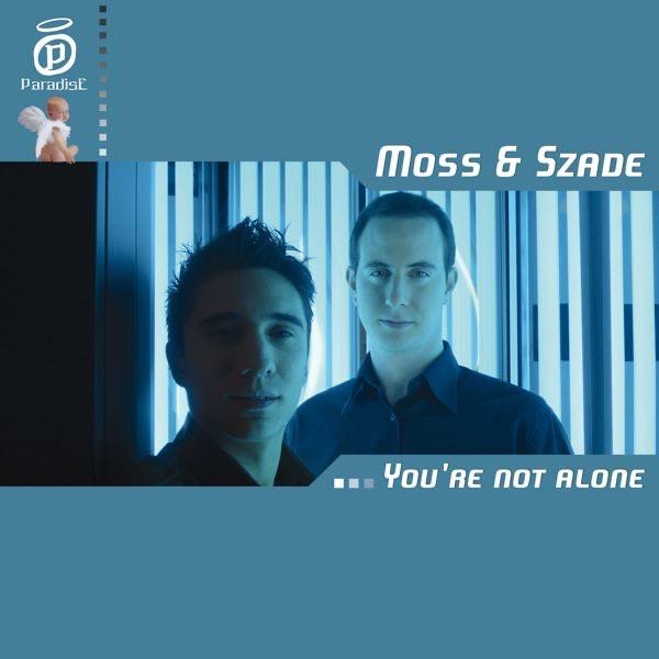 You're Not Alone (Hypnotic Mix)