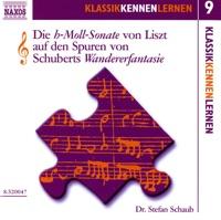 Die H-moll-Sonate von Liszt: Franz Schuberts Wandererfantasie als Modell