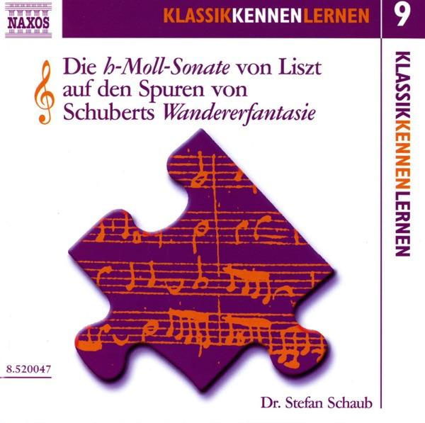 Die H-moll-Sonate von Liszt: Werkbetrachtung zur h-Moll-Sonate