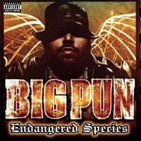 Brave In The Heart Big Pun featuring Terror Squad