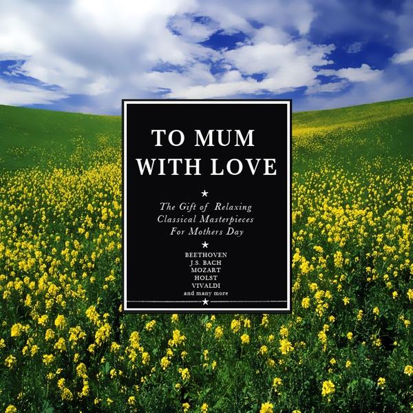 Concerto No. 4 in F Major, Op. 8, RV 297 "Winter": II. Largo