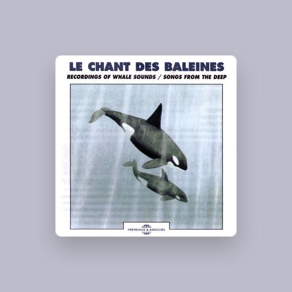 Frémeaux & Associés