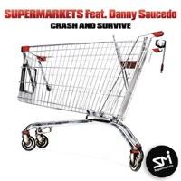 Crash and Survive (feat. Danny Saucedo) [Radio Edit]
