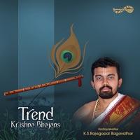 Krishna Seida