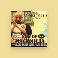 Mr. Marcello