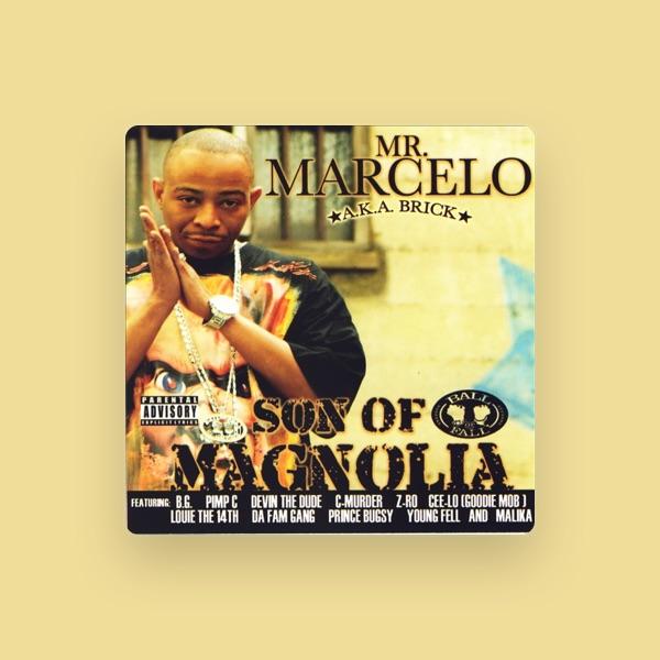 Mr. Marcello
