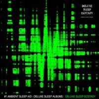 Deluxe Sleep I: Deluxe Sleep Ecstasy