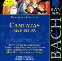 Mein Gott, Wie Lang, Ach Lange, BWV 155: Aria: Du Musst Glauben, Du Musst Hoffen (Alto, Tenor)