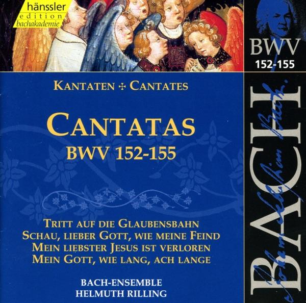 Mein Gott, Wie Lang, Ach Lange, BWV 155: Aria: Du Musst Glauben, Du Musst Hoffen (Alto, Tenor)