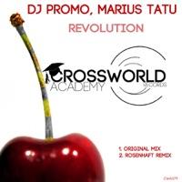 Revolution (Rosenhaft Remix)