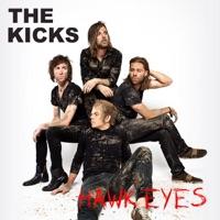 Hawk Eyes