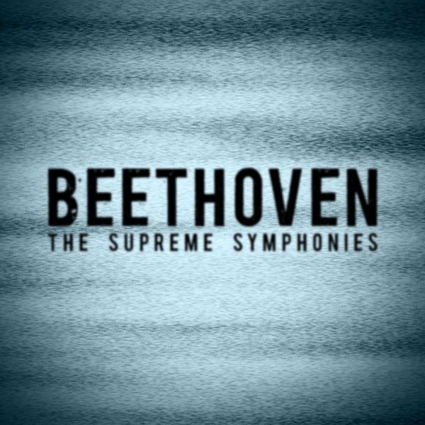 Symphony No. 5, Op. 67: Sherzo. Allegro