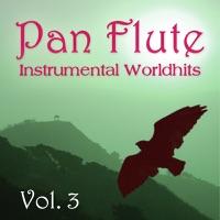 Time To Say Goodbye (Instrumental)