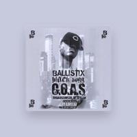 Ballistix Black Dogg