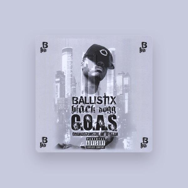 Ballistix Black Dogg