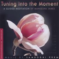 Tuning Into the Moment (Instrumental)