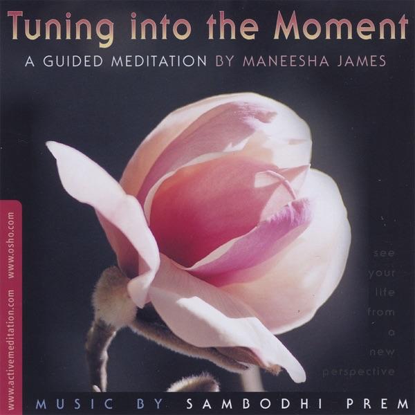 Tuning Into the Moment