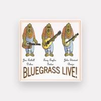 The Three Bears Bluegrass Band