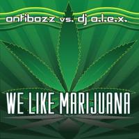 We Like Marijuana (DJ Shogun Jump Remix) [feat. DJ A.L.E.X.]