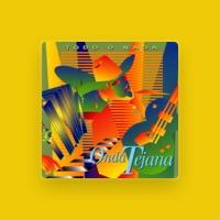 Onda Tejana Band